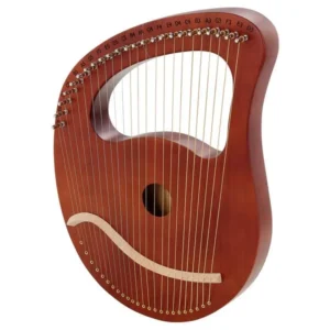 Arpa lira Thomann LH24B a 24 corde